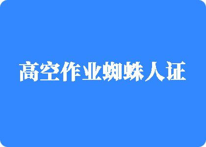 大鸡巴网站啊啊啊啊高空作业蜘蛛人证